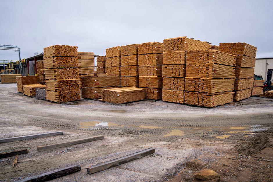 Stacks of sawn lumber drying in a sawmill yard